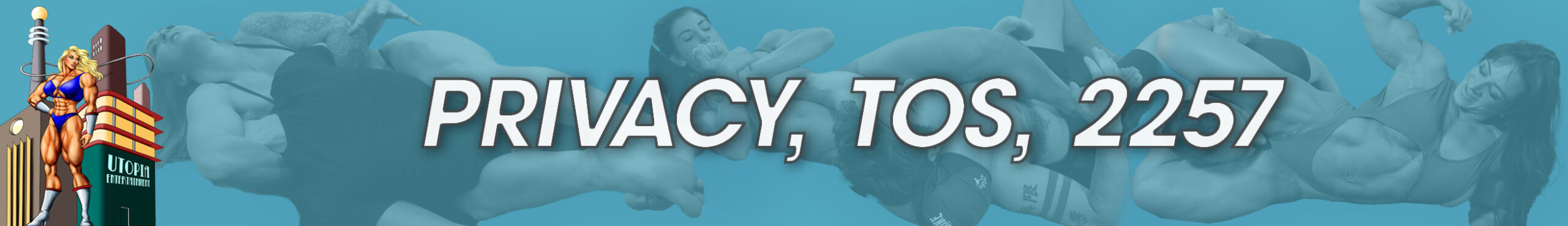 PrivacyTOS2257_160 Privacy TOS 2257